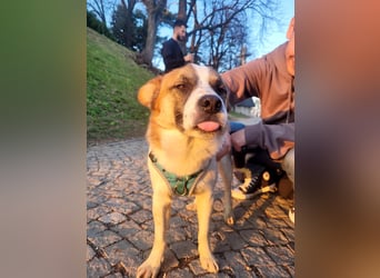 Phoenix, aus der Hölle entkommen, sucht nun seinen Himmel auf Erden