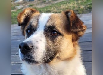 Phoenix, aus der Hölle entkommen, sucht nun seinen Himmel auf Erden