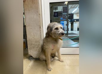 Süße Titza sucht ihr eigenes Körbchen