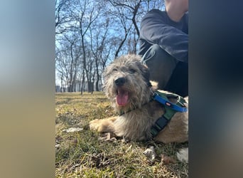 Süße Titza sucht ihr eigenes Körbchen