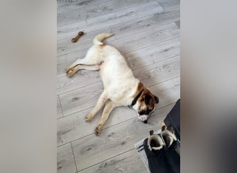 Phoenix, aus der Hölle entkommen, sucht nun seinen Himmel auf Erden