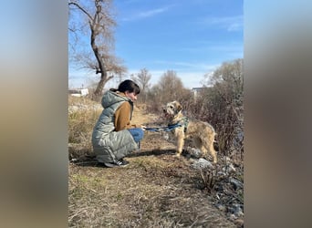 Süße Titza sucht ihr eigenes Körbchen