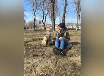 Süße Titza sucht ihr eigenes Körbchen