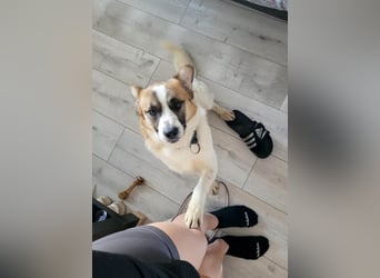 Phoenix, aus der Hölle entkommen, sucht nun seinen Himmel auf Erden