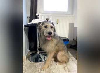 Süße Titza sucht ihr eigenes Körbchen