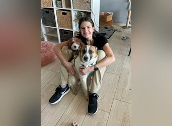 Phoenix, aus der Hölle entkommen, sucht nun seinen Himmel auf Erden