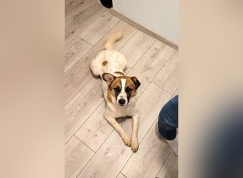 Phoenix, aus der Hölle entkommen, sucht nun seinen Himmel auf Erden