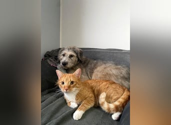 Süße Titza sucht ihr eigenes Körbchen