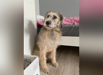 Süße Titza sucht ihr eigenes Körbchen