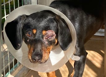 Utopia - mit nur einem Auge unterwegs in eine bessere Zukunft