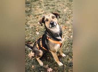 Liebe, kluge Inoa sucht ihre Familie