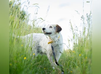 Grace so wundervoll - aber keine Anfrage