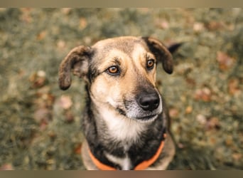 Liebe, kluge Inoa sucht ihre Familie