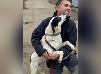 Laika will einfach nur geliebt werden