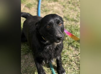 Szeplö von kettenlos