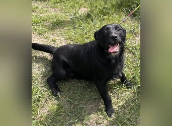 Szeplö von kettenlos