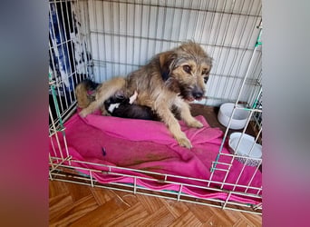 Ilay von kettenlos