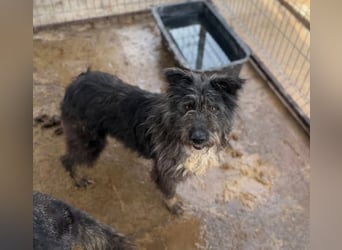 Nura von kettenlos