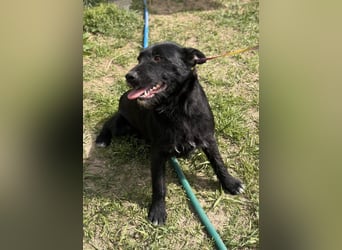 Szeplö von kettenlos