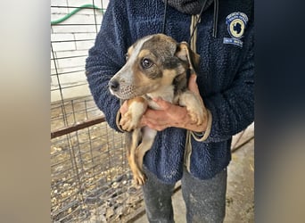 Wendy sucht ihr Glück