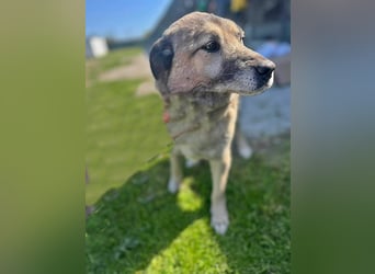 Pauli, freundlich und lieb