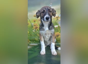 Hazel, möchte die Welt entdecken