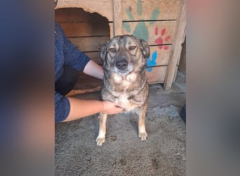 Ylenia, sucht eine Familie