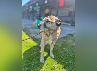 Pauli, freundlich und lieb