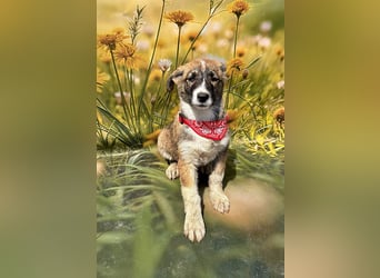 Hazel, möchte die Welt entdecken