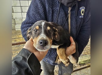 Paul wünscht sich ein Zuhause