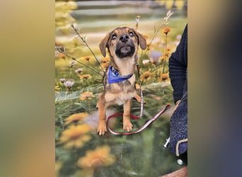 Boomer sucht das Abenteuer