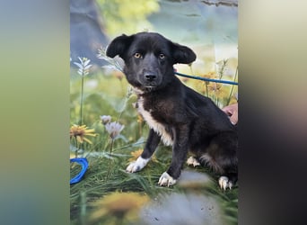 Sera, lieb aber noch etwas schüchtern