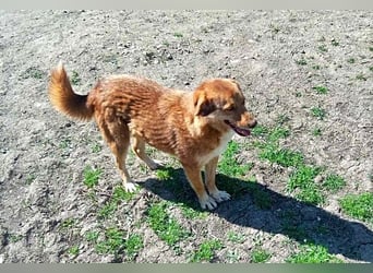 Trudy, freundlich und sozial