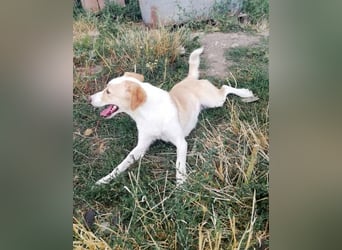 Tilly, freundlich und sanft