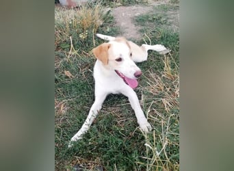 Tilly, freundlich und sanft