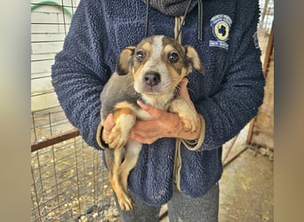 Wendy sucht ihr Glück