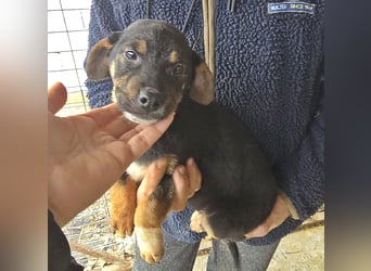 Lotti, kleines Mädchen sucht großes Glück