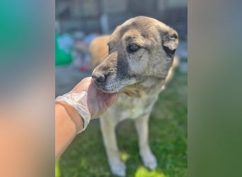 Pauli, freundlich und lieb