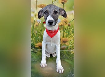 Leia, ausreisefertig um Neues zu entdecken