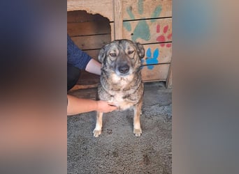 Ylenia, sucht eine Familie