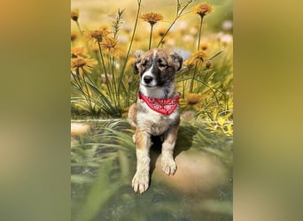 Hazel, möchte die Welt entdecken