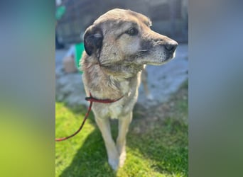 Pauli, freundlich und lieb