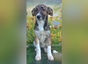 Hazel, möchte die Welt entdecken