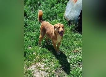 Trudy, freundlich und sozial