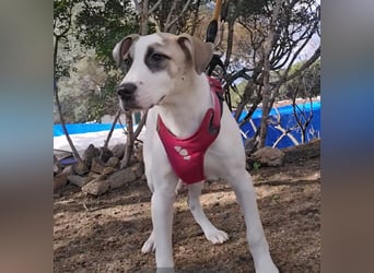 Nicoletta: vom Parkplatz ins schöne Leben