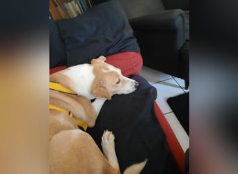 Lucy: ein Schatz für Jedermann