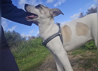 Nicoletta: vom Parkplatz ins schöne Leben