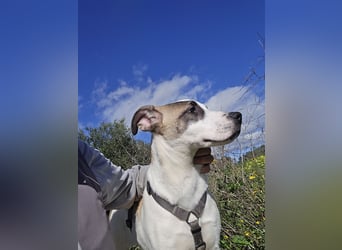 Nicolina: vom Parkplatz ins schöne Leben