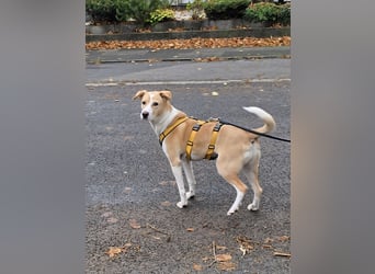 Lucy: ein Schatz für Jedermann Lucy: ein Schatz für Jedermann