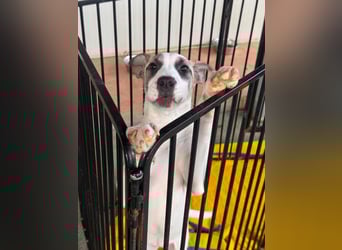 Nicoletta: vom Parkplatz ins schöne Leben